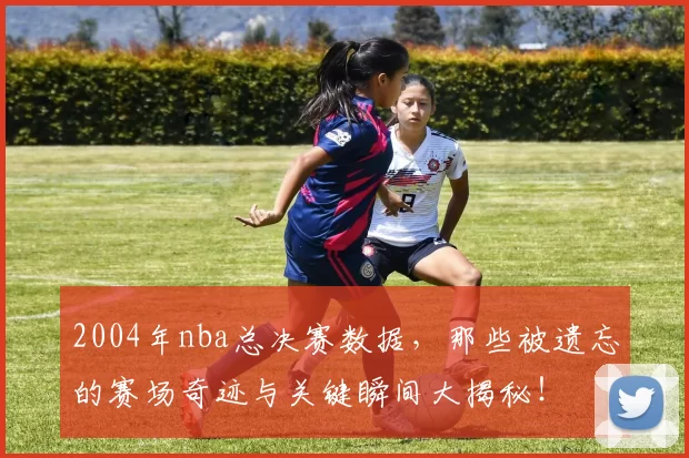 2004年nba总决赛数据，那些被遗忘的赛场奇迹与关键瞬间大揭秘！